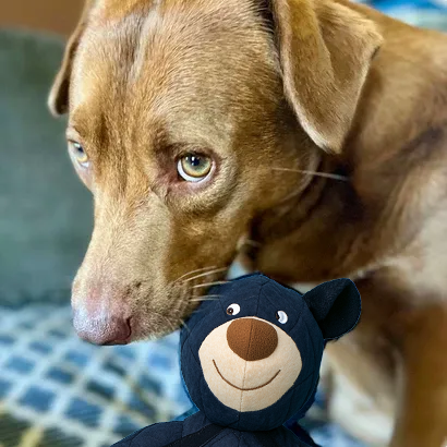 2025 New Unbreaka bear for frequent chewers🦮🐕🦺
