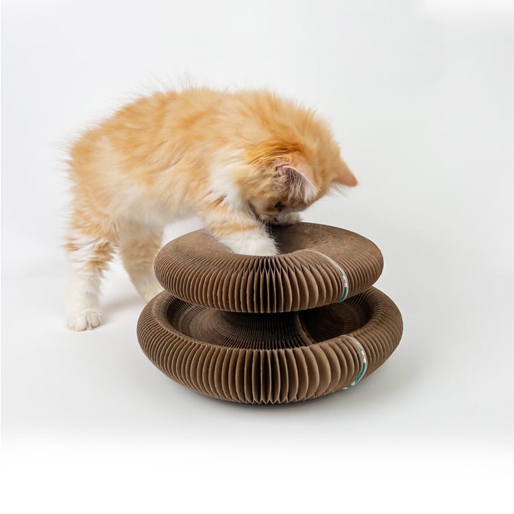 Cat ButlerTM Most Interesting Cat Toys 2022/Flexible Cardboard Foldable