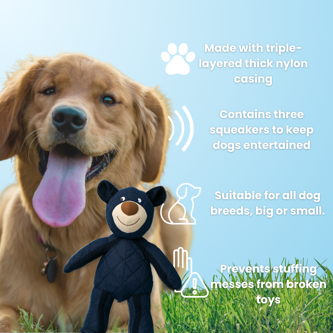 2025 New Unbreaka bear for frequent chewers🦮🐕🦺