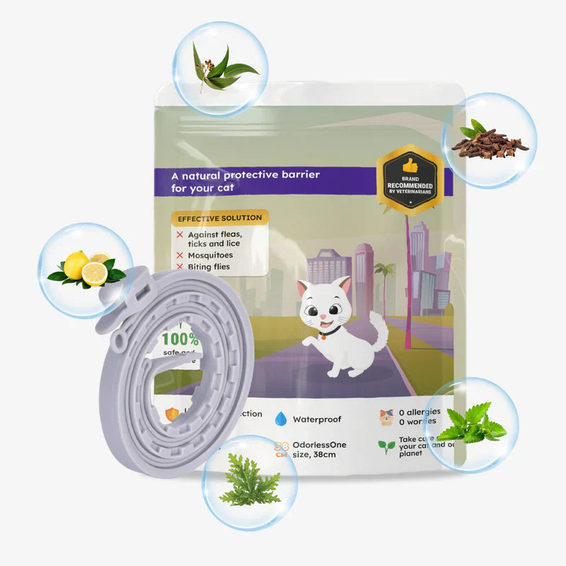 🔥Hahshopzone Collar for Cat and Dog