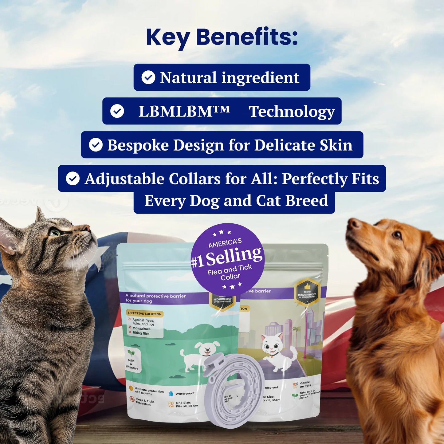 🔥Hahshopzone Collar for Cat and Dog