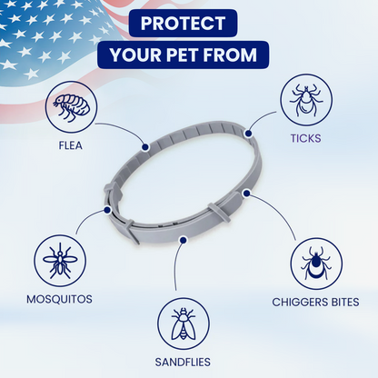 🔥Hahshopzone Collar for Cat and Dog