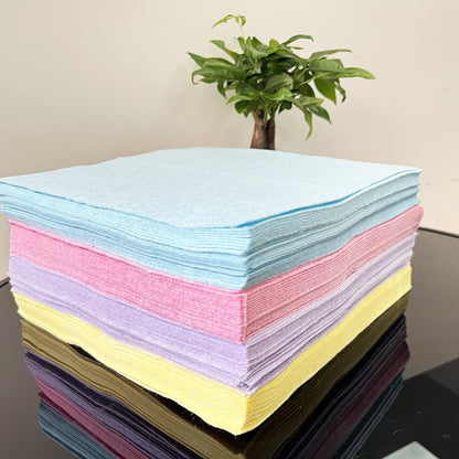 Biodegradable Coconut Cleaning Cloths