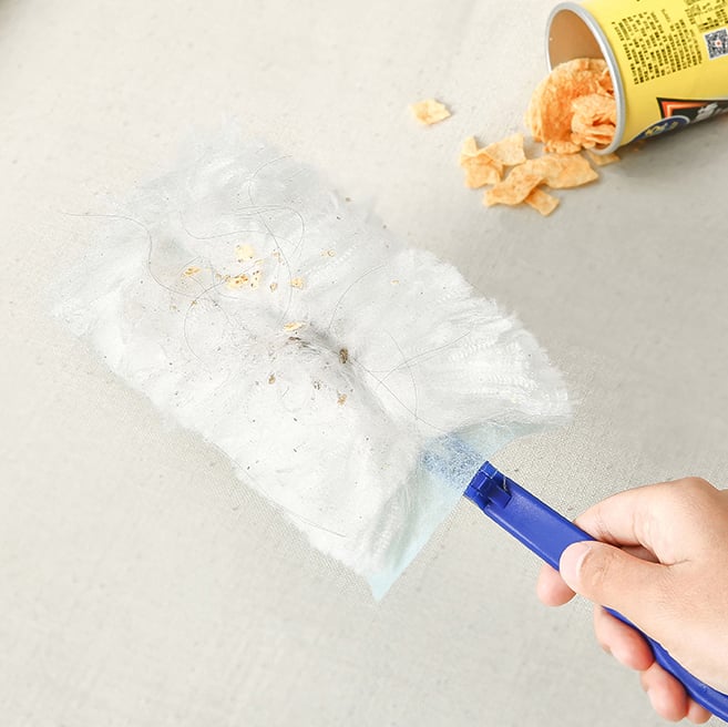 Handle + 20 Packs/Brush Head