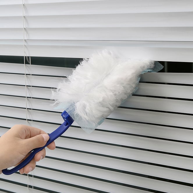Handle + 10 Packs/Brush Head