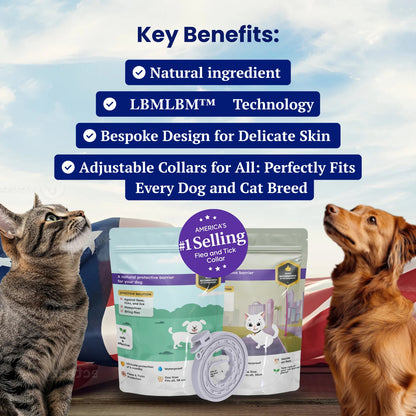 🔥Hahshopzone Collar for Cat and Dog